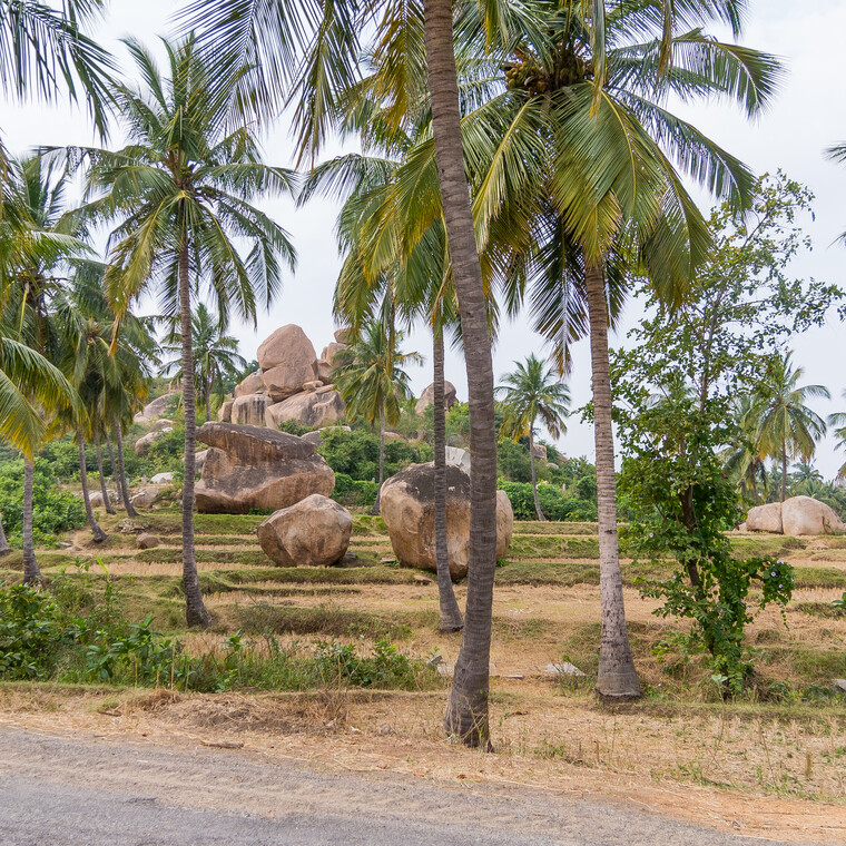 India 2014 - Hampi 094.jpg